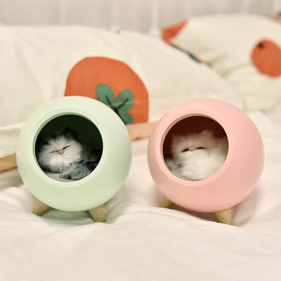 Kattkoja med belysning