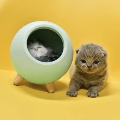 Kattkoja med belysning