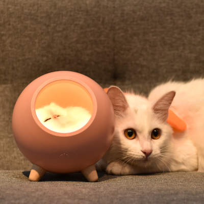 Kattkoja med belysning