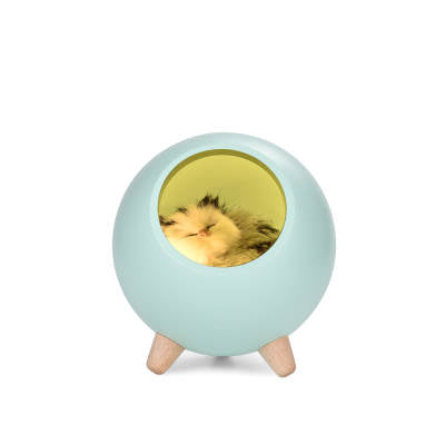 Kattkoja med belysning
