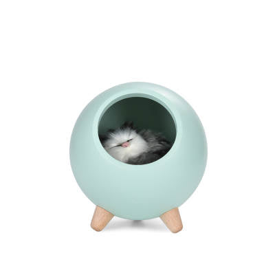 Kattkoja med belysning