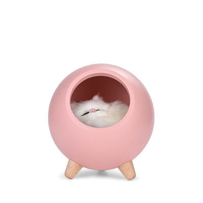 Kattkoja med belysning